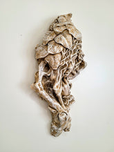 Load image into Gallery viewer, Dryad leaves Tree Woman Wall Sculpture Green Man#10065
