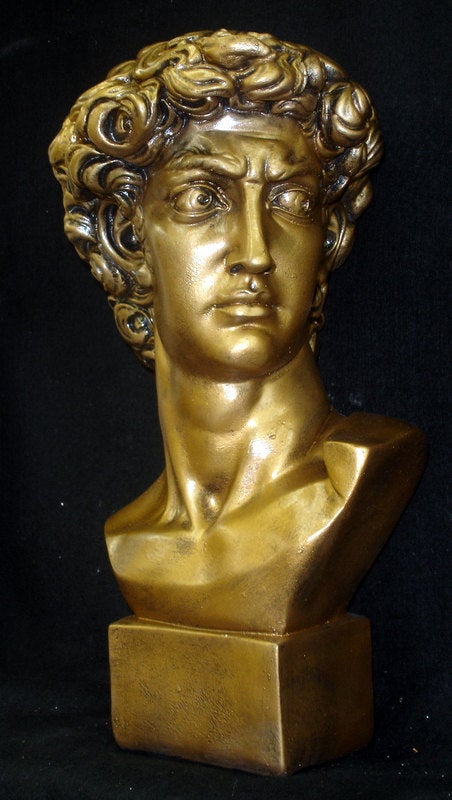 Michelangelo's Bust of David 17