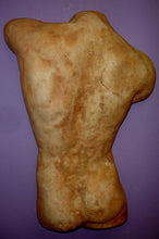 Load image into Gallery viewer, Greek Male Torso Physique Wall Sculpture Plaque David Back GRS-18

