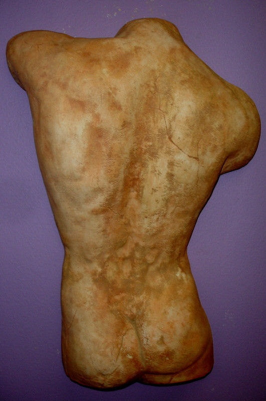 Greek Male Torso Physique Wall Sculpture Plaque David Back GRS-18