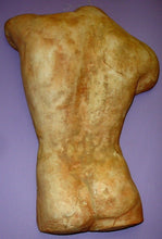 Load image into Gallery viewer, Greek Male Torso Physique Wall Sculpture Plaque David Back GRS-18
