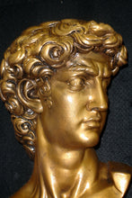 Load image into Gallery viewer, Michelangelo's Bust of David 17" GRS-17