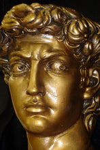 Load image into Gallery viewer, Michelangelo's Bust of David 17" GRS-17