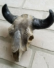 Load image into Gallery viewer, Vintage Wall Hanging Southwestern Cow Steer Skull
